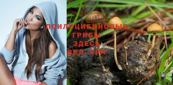 винт Зеленодольск
