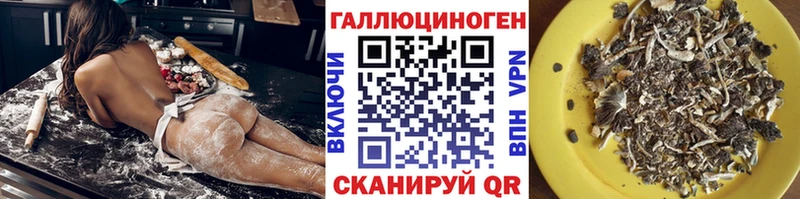 Псилоцибиновые грибы GOLDEN TEACHER  Сковородино 