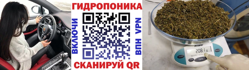 сколько стоит Сковородино Марихуана планчик